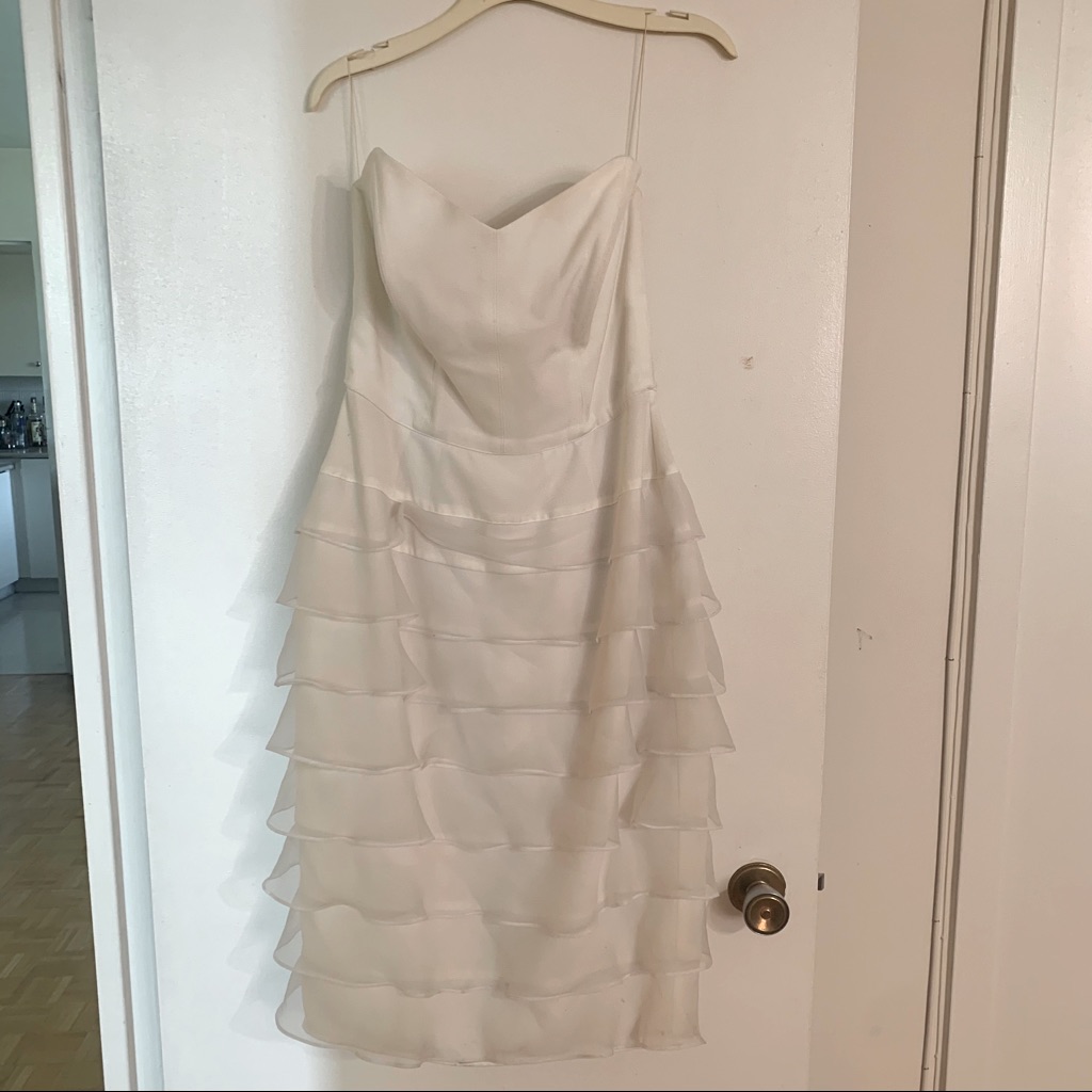 Vintage Prom/Wedding Dress